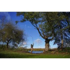 Shimano Carp Tribal TX Ultra A 13ft 3.50LB Intensité -Westin Soldes Boutique DSC03670 550x550w